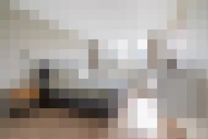 Vossenlaar 42 Bavel thumbnail 17