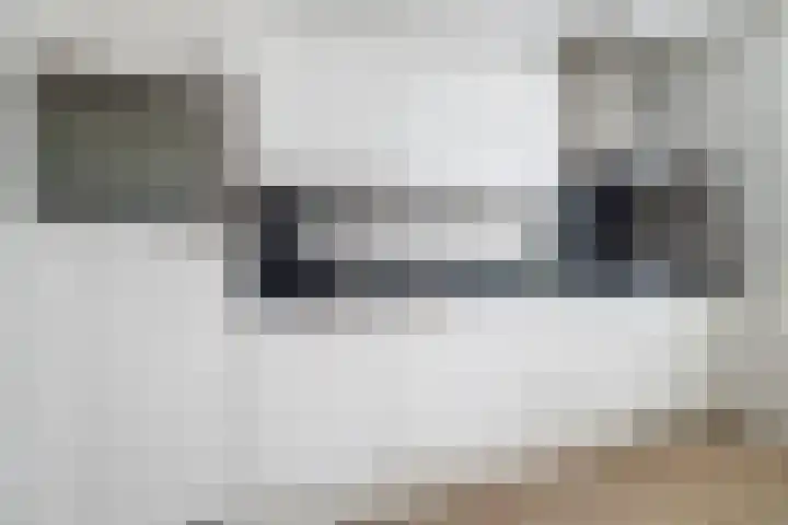 Vossenlaar 42 Bavel thumbnail 9