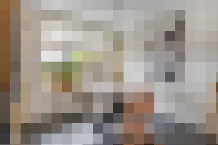 Vossenlaar 46 Bavel thumbnail 12