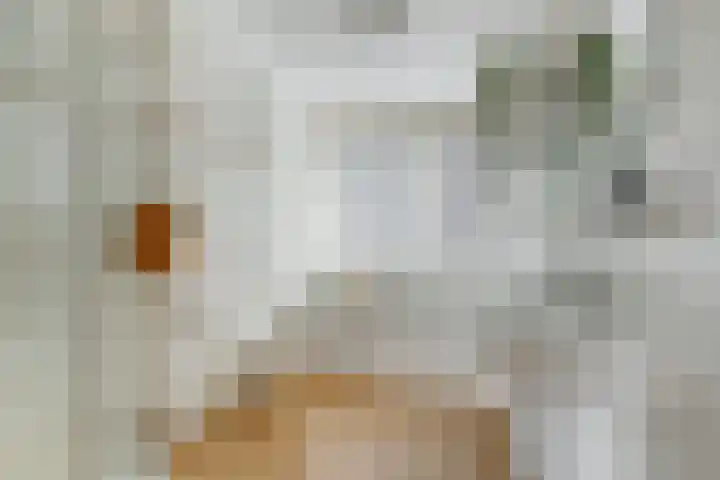 Vossenlaar 46 Bavel thumbnail 18