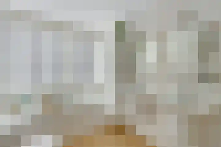 Vossenlaar 46 Bavel thumbnail 19