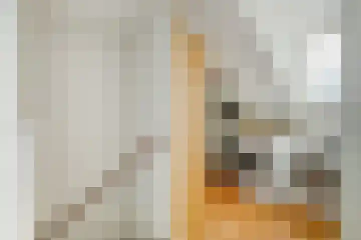 Vossenlaar 46 Bavel thumbnail 21