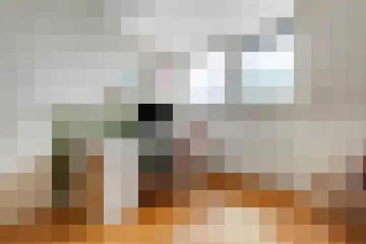 Vossenlaar 46 Bavel thumbnail 23