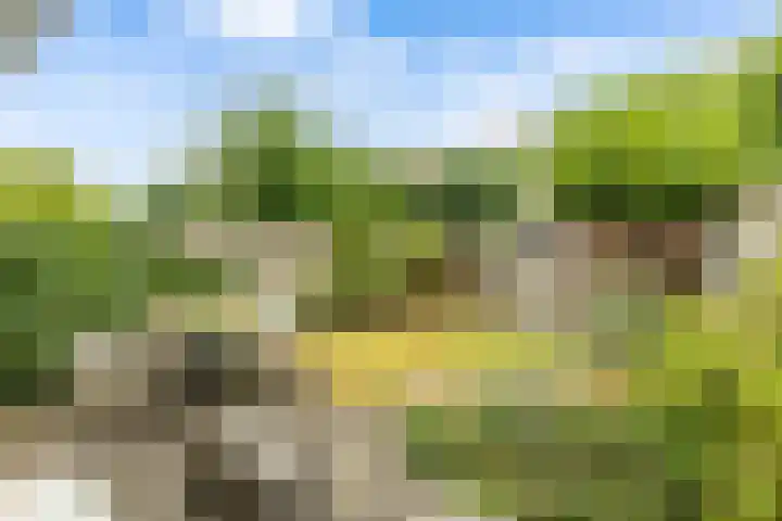 Vossenlaar 46 Bavel thumbnail 24