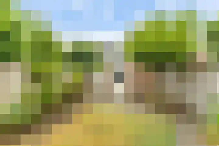 Vossenlaar 46 Bavel thumbnail 25