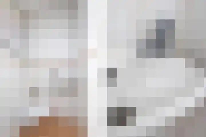 Vossenlaar 46 Bavel thumbnail 6