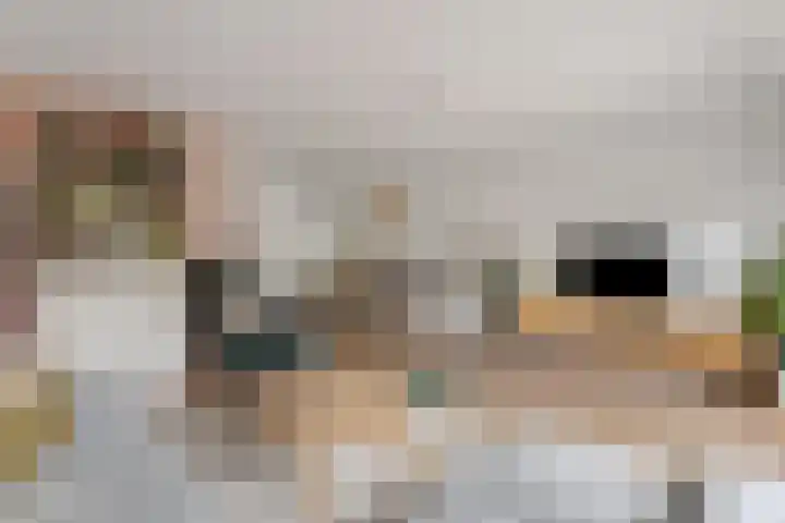 Vossenlaar 46 Bavel thumbnail 9