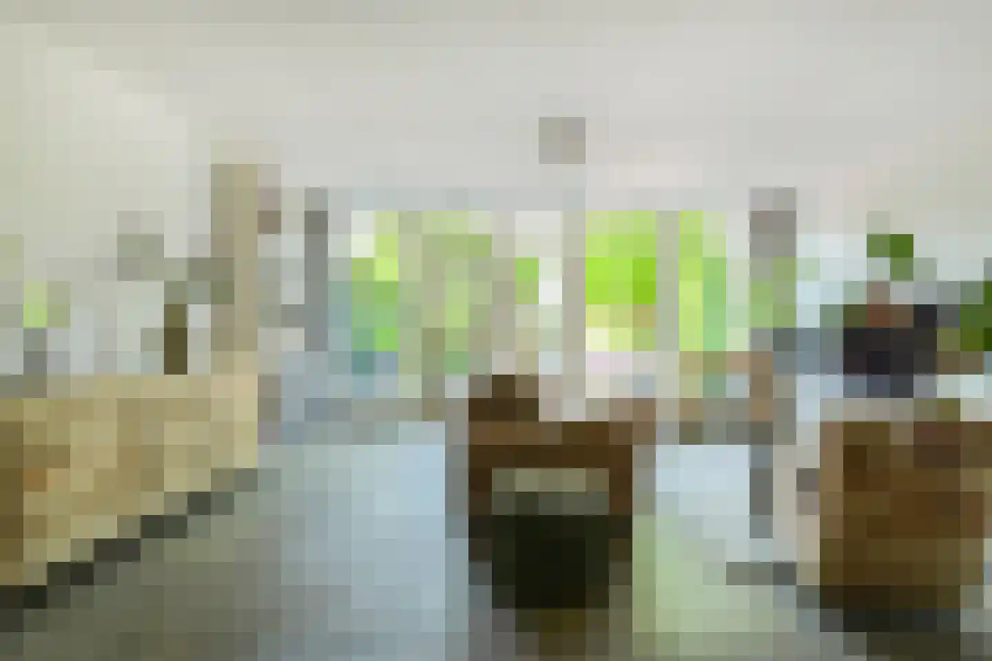 Vossenlaar 70 Bavel thumbnail 11