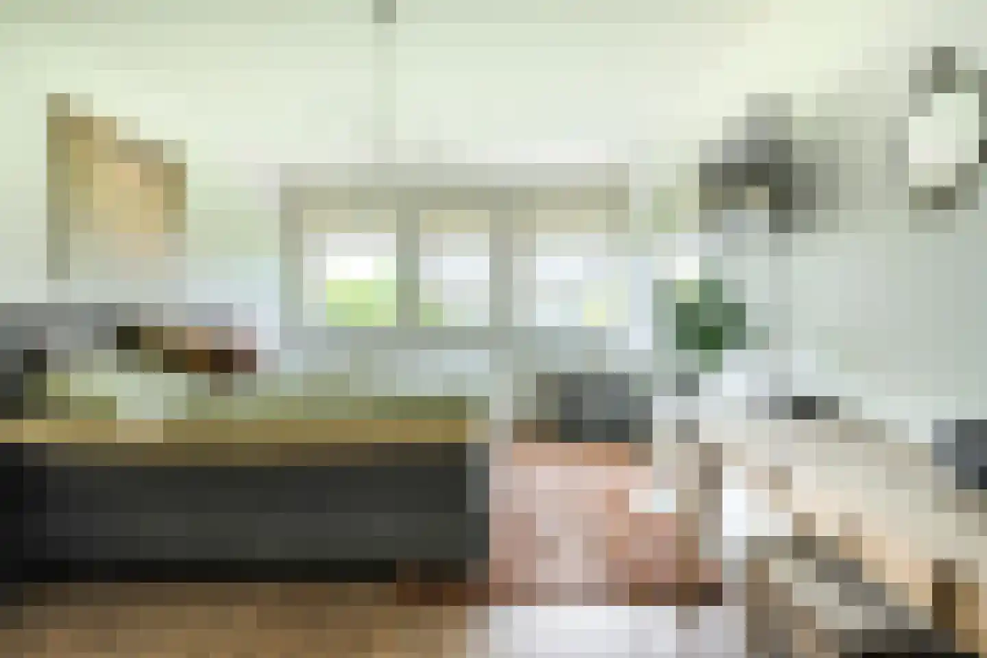 Vossenlaar 70 Bavel thumbnail 15