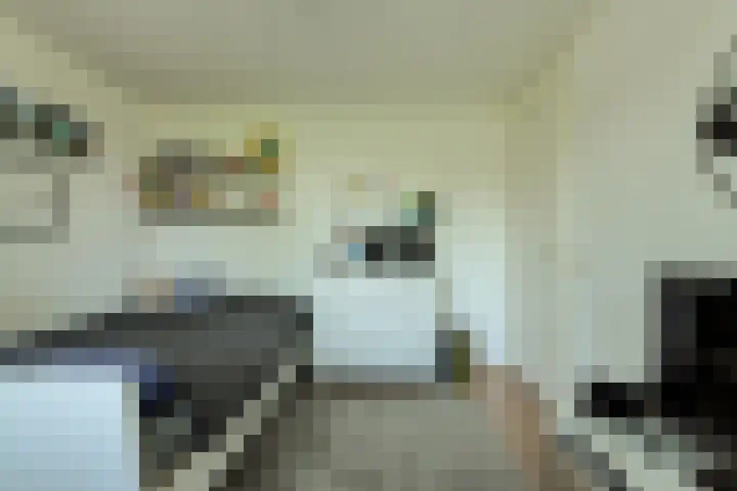 Vossenlaar 70 Bavel thumbnail 23