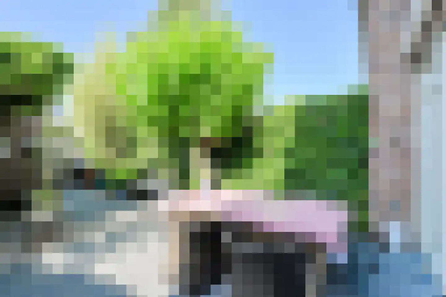 Vossenlaar 70 Bavel thumbnail 31