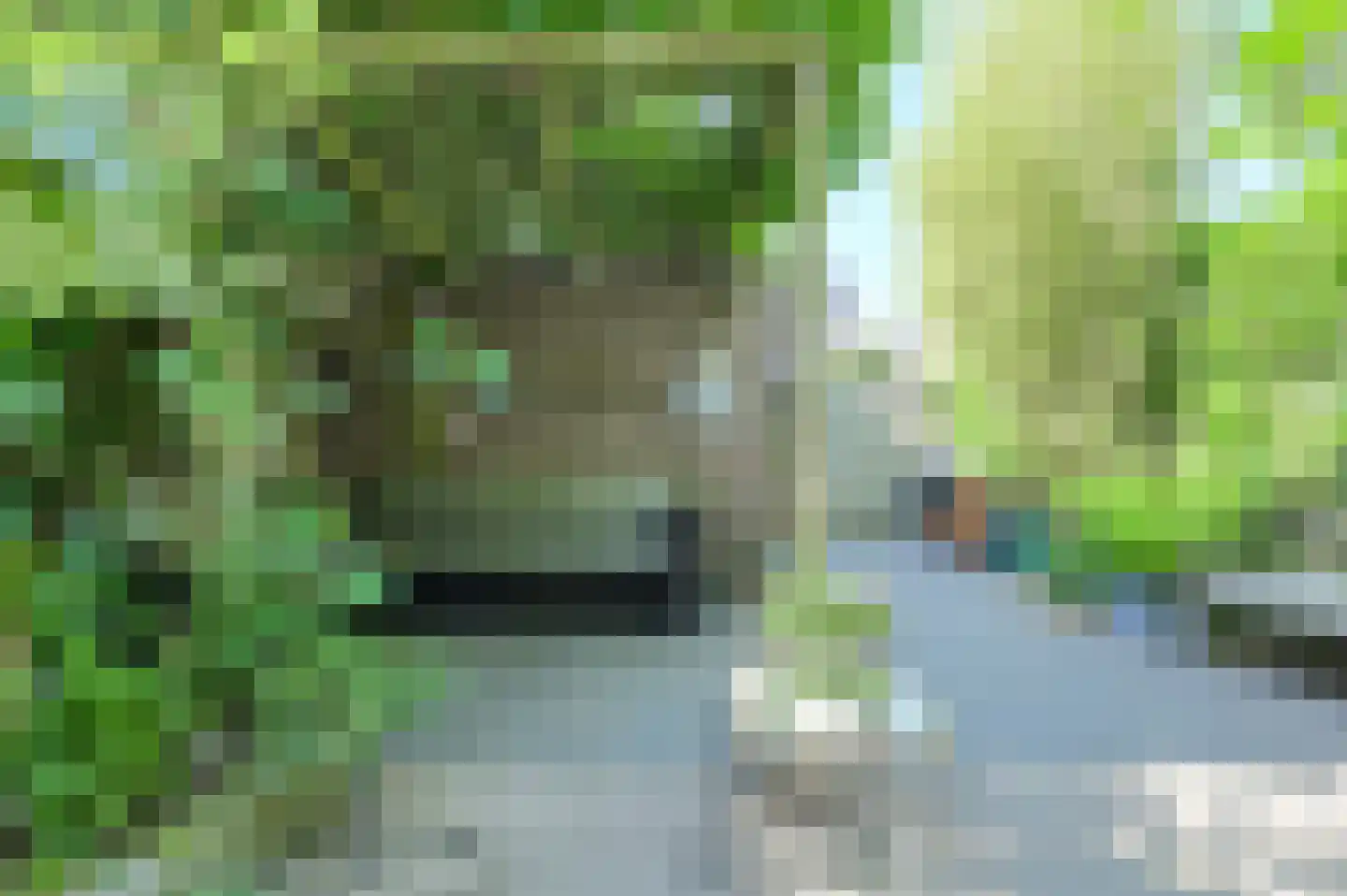 Vossenlaar 70 Bavel thumbnail 32