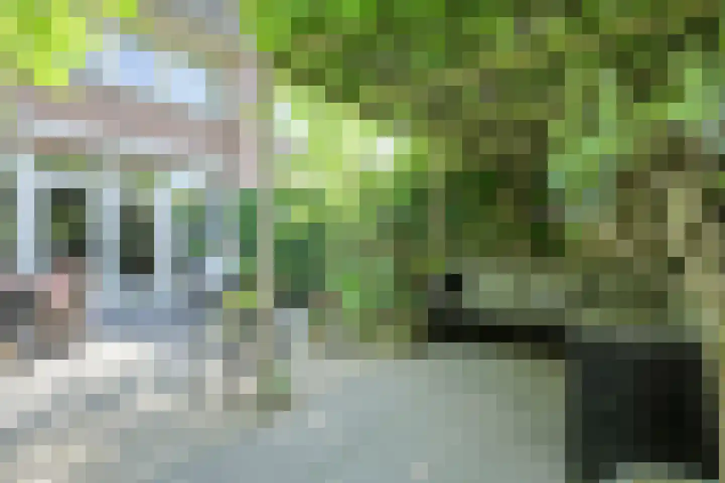 Vossenlaar 70 Bavel thumbnail 33