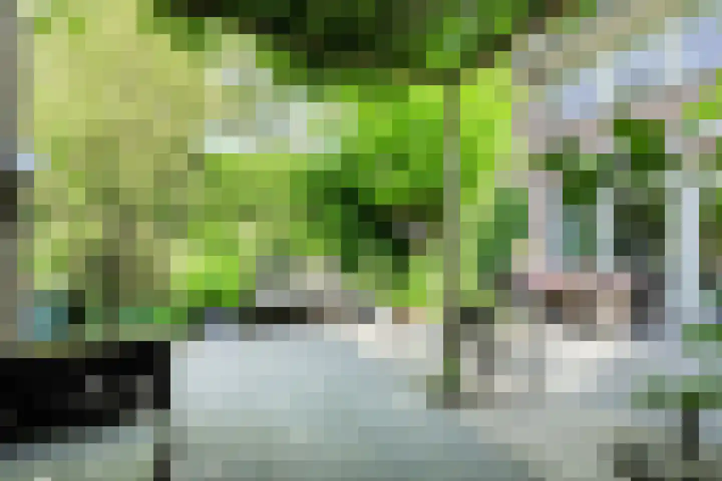 Vossenlaar 70 Bavel thumbnail 34