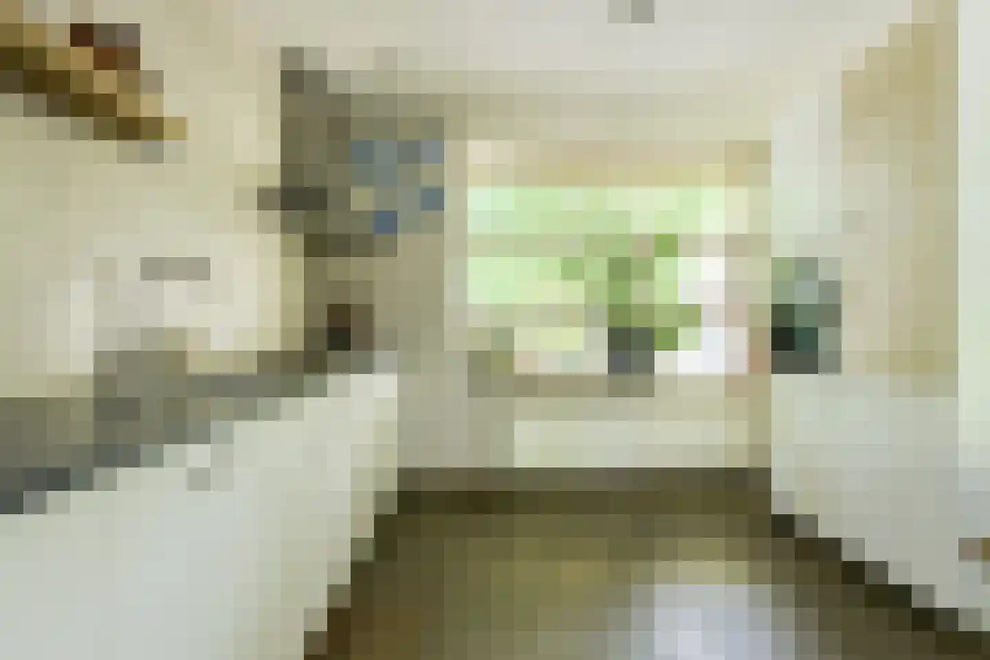 Vossenlaar 70 Bavel thumbnail 8
