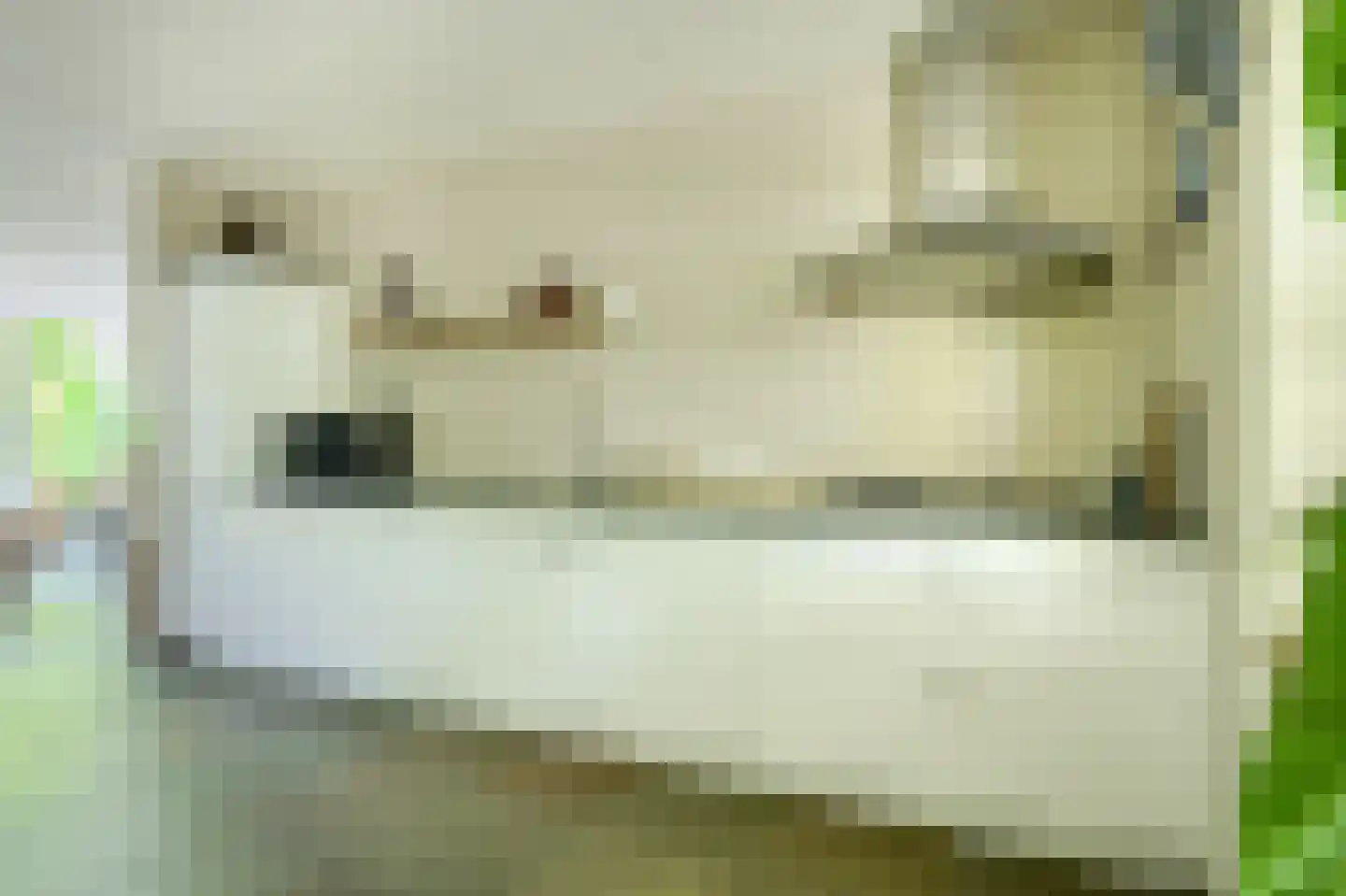 Vossenlaar 70 Bavel thumbnail 9