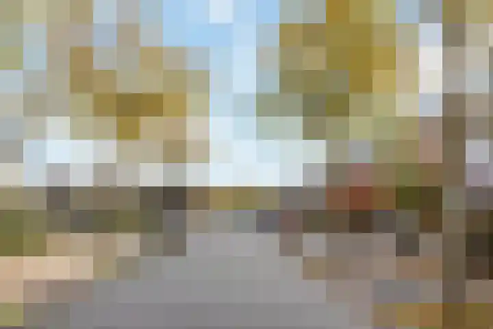 Vossenlaar 8 Bavel thumbnail 22