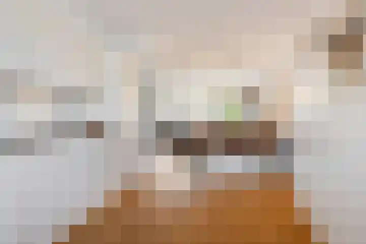 Vossenlaar 8 Bavel thumbnail 8