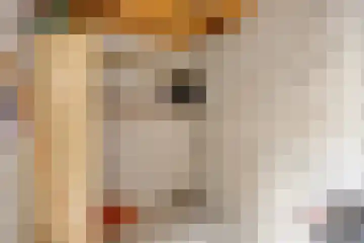 Vossenpad 9 Tilburg thumbnail 22