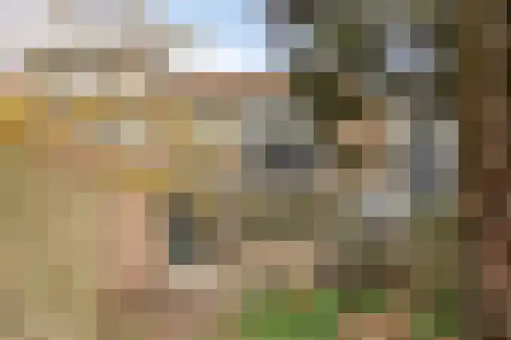 Vossenpad 9 Tilburg thumbnail 23
