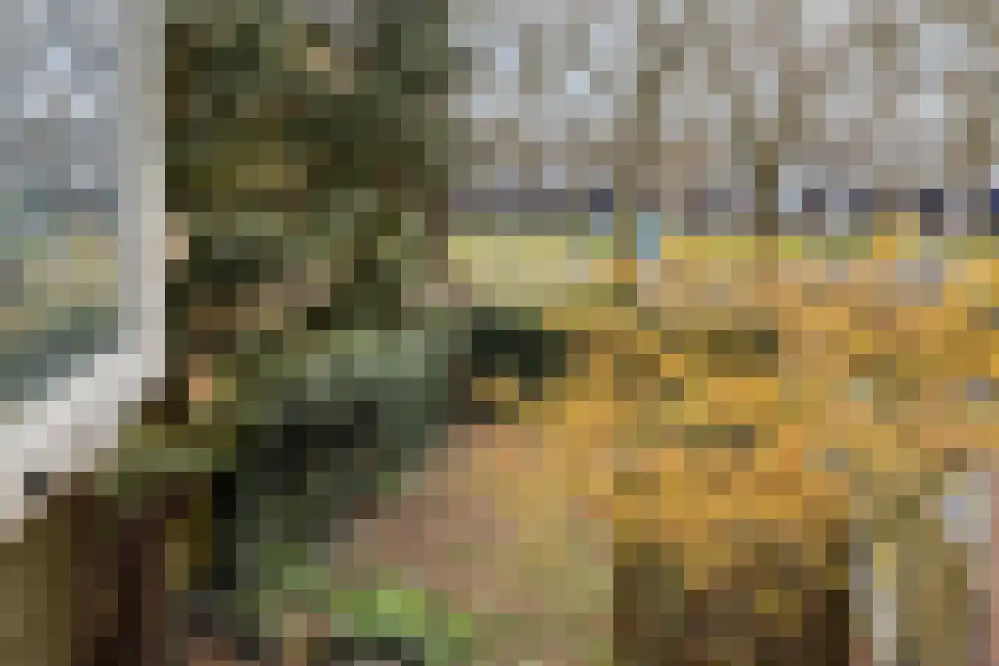Vossenpad 9 Tilburg thumbnail 24