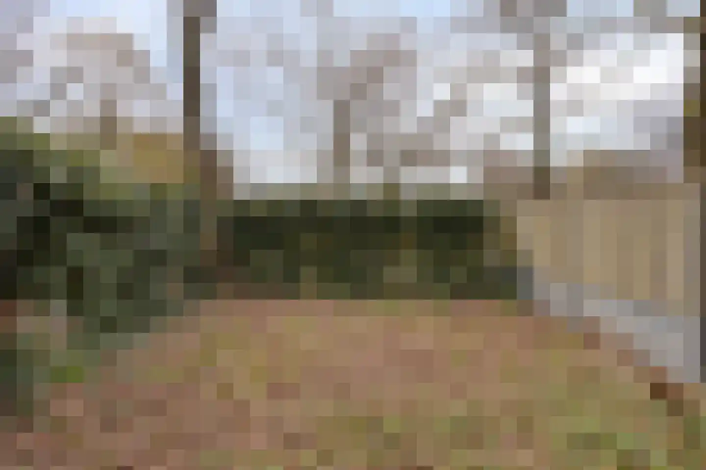 Vossenpad 9 Tilburg thumbnail 25
