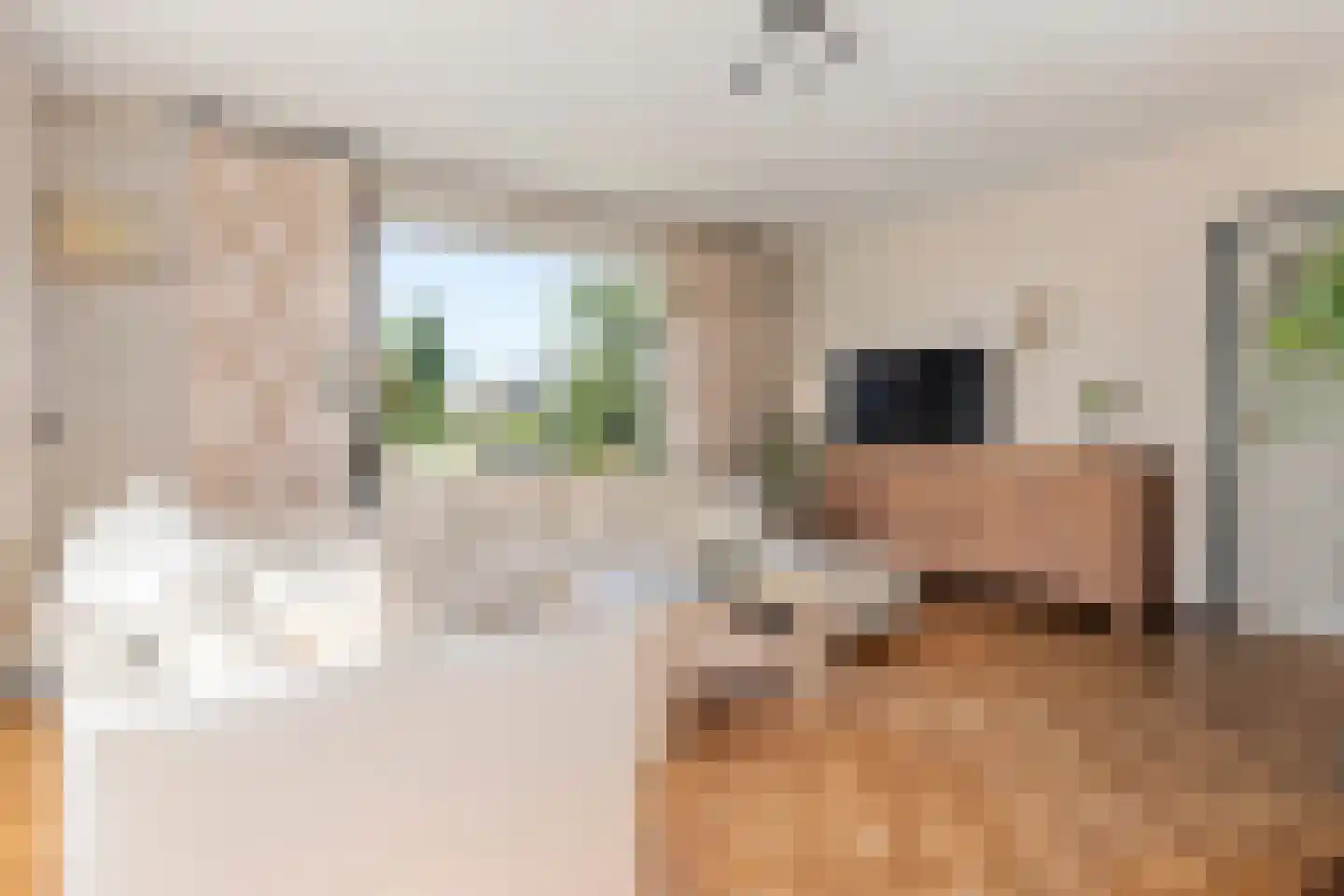 Vossenpelssestraat 10 Lent thumbnail 23