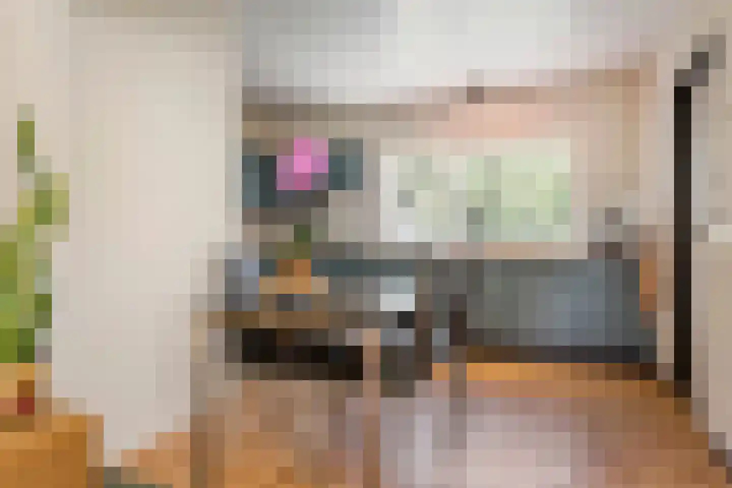 Vossenpelssestraat 10 Lent thumbnail 28