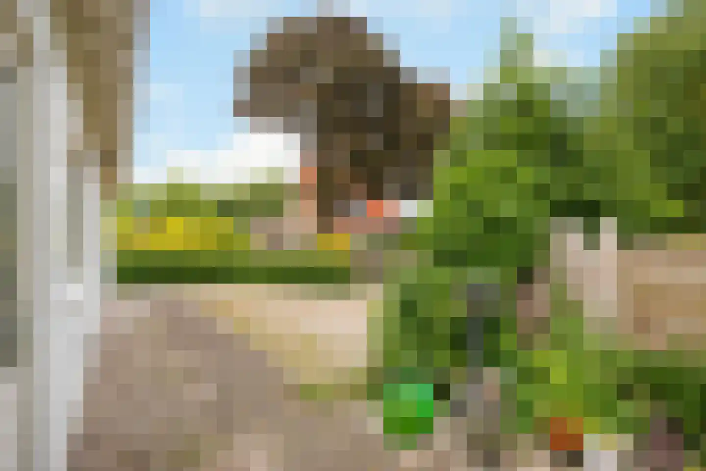 Vossenpelssestraat 10 Lent thumbnail 44