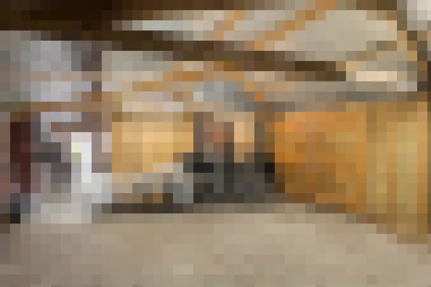 Vossenpelssestraat 10 Lent thumbnail 48