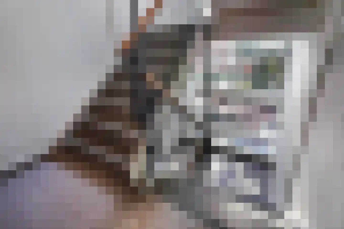 Vossenrade 24 Den Haag thumbnail 10