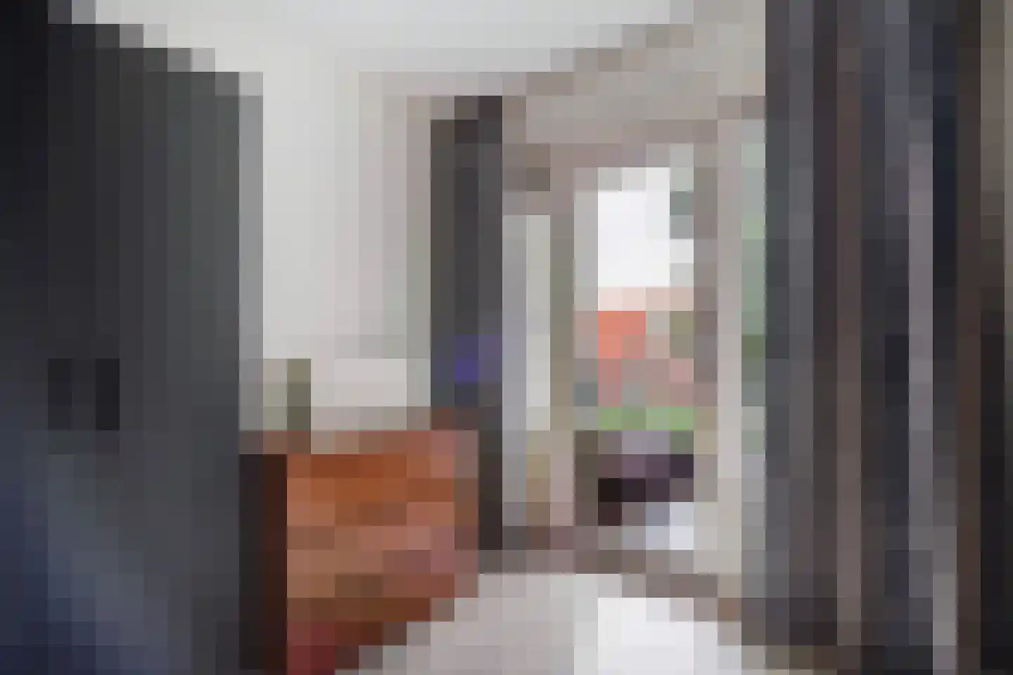 Vossenrade 24 Den Haag thumbnail 23