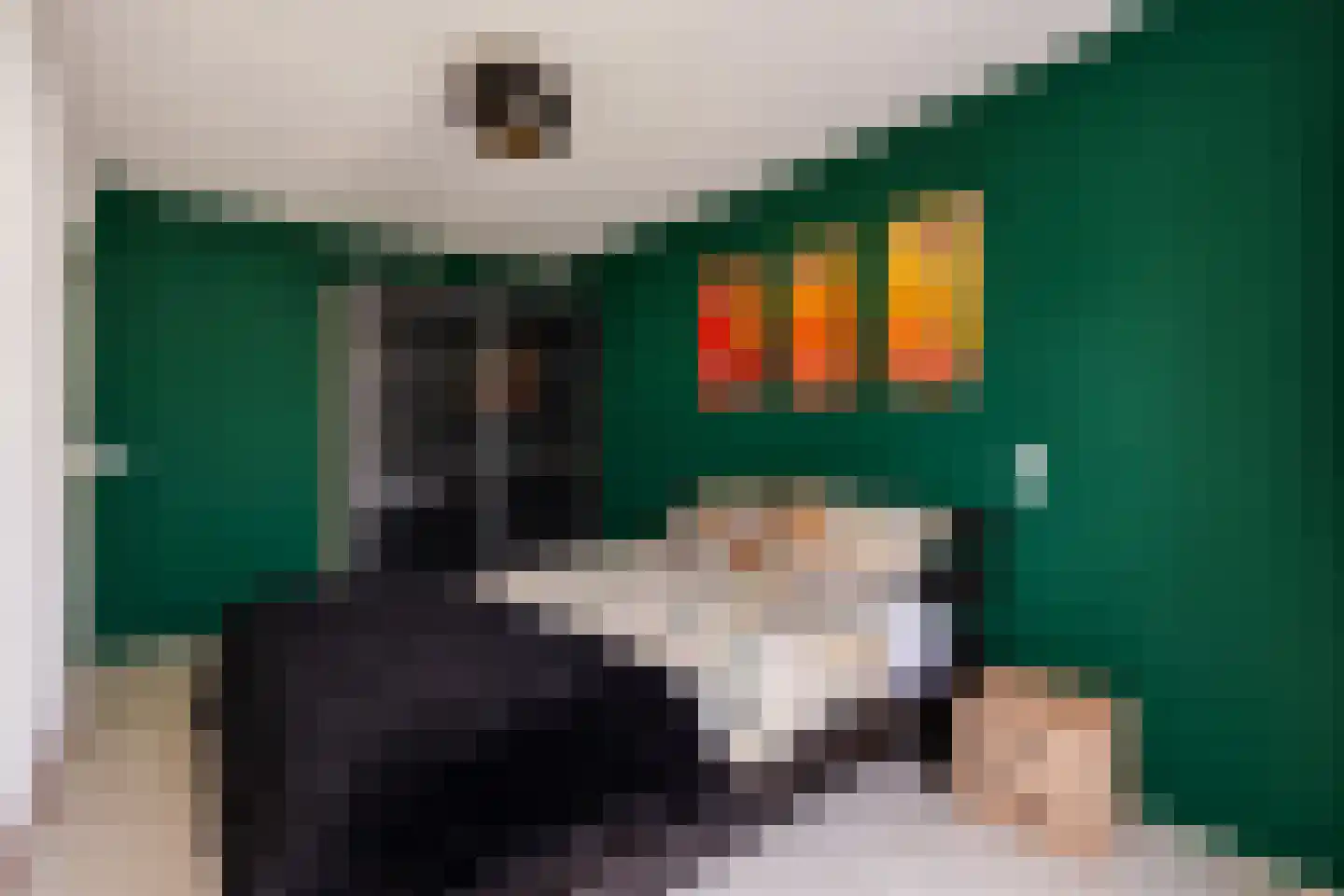 Vossenrade 24 Den Haag thumbnail 5