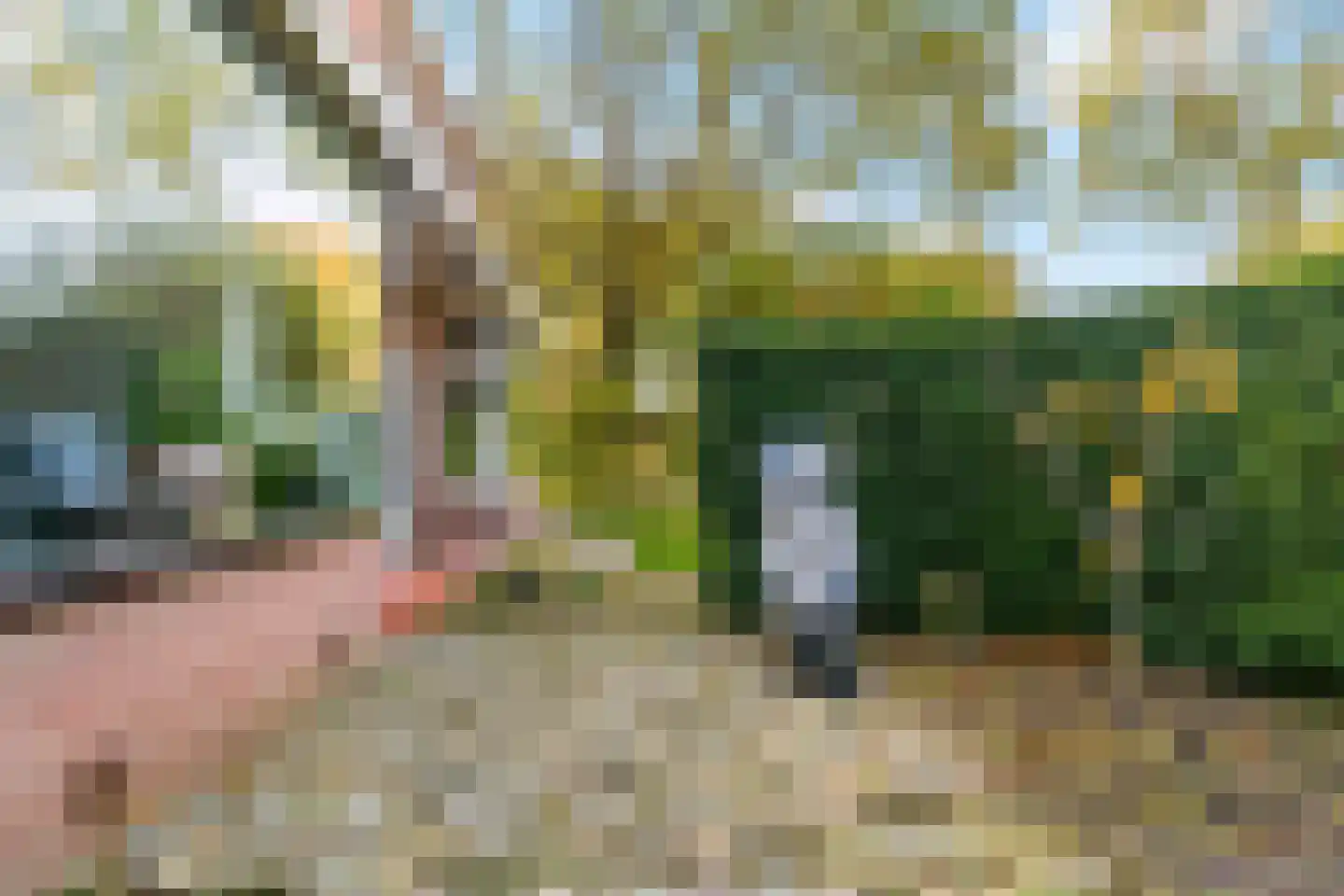 Vossenschanslaan 106 Woerden thumbnail 36