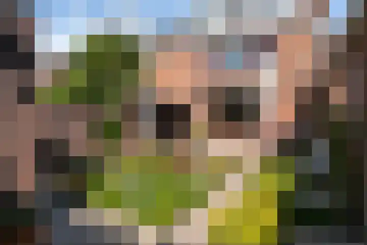 Vossenschanslaan 134 Woerden thumbnail 25