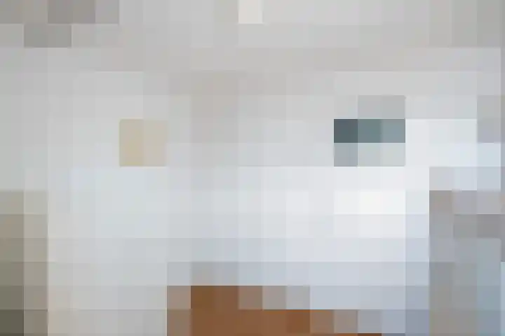 Vossenschanslaan 134 Woerden thumbnail 31
