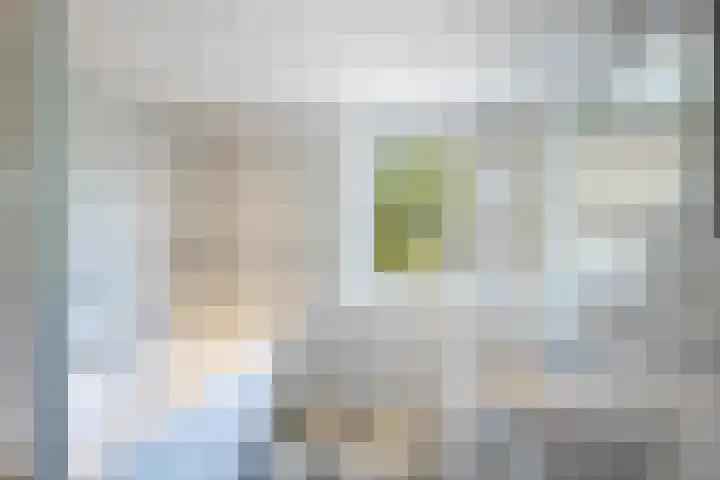 Vossenschanslaan 134 Woerden thumbnail 39