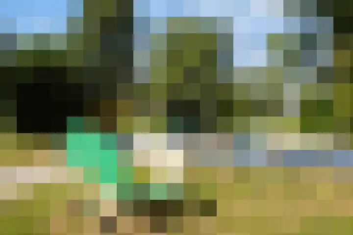 Vossenschanslaan 134 Woerden thumbnail 54