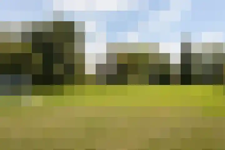 Vossenschanslaan 134 Woerden thumbnail 55
