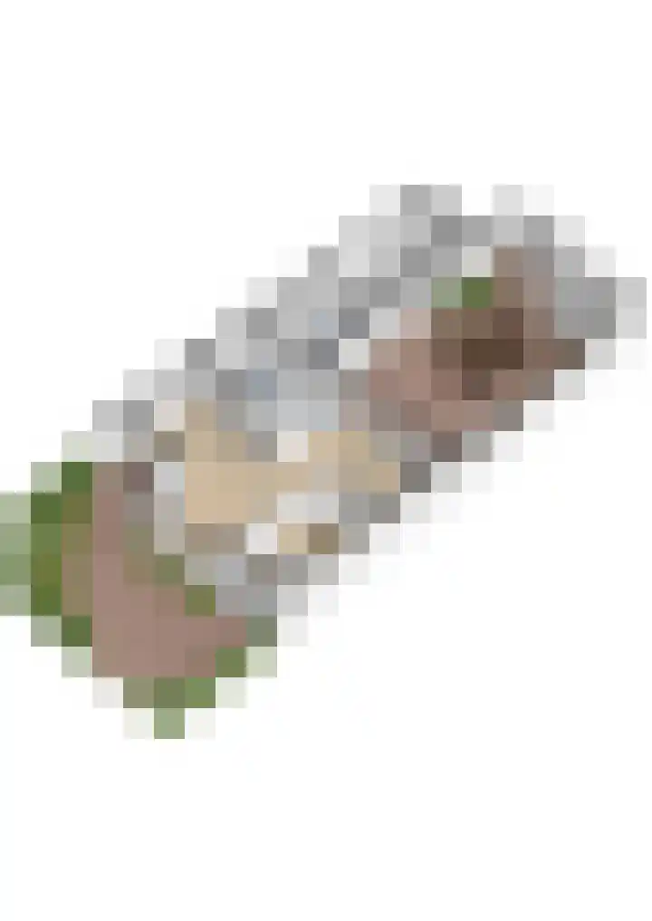 Vossenschanslaan 134 Woerden thumbnail 63