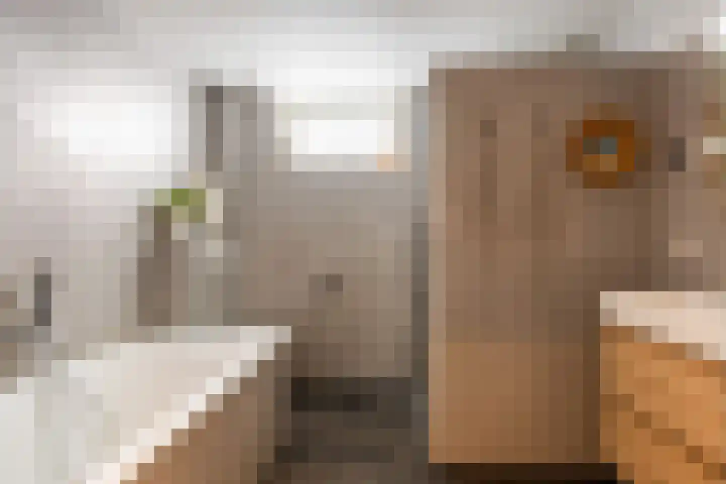 Vossenschanslaan 86 Woerden thumbnail 32