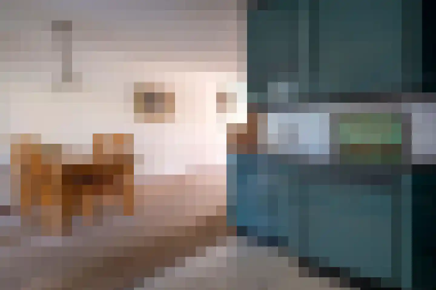 Vossenslag 12 Assen thumbnail 26
