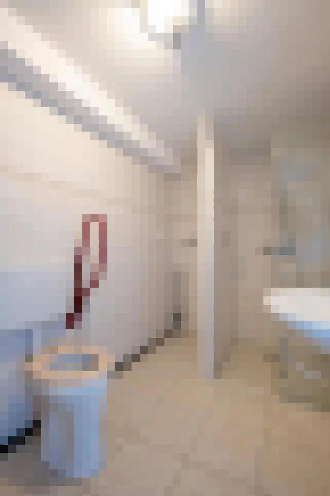 Vossenslag 12 Assen thumbnail 31