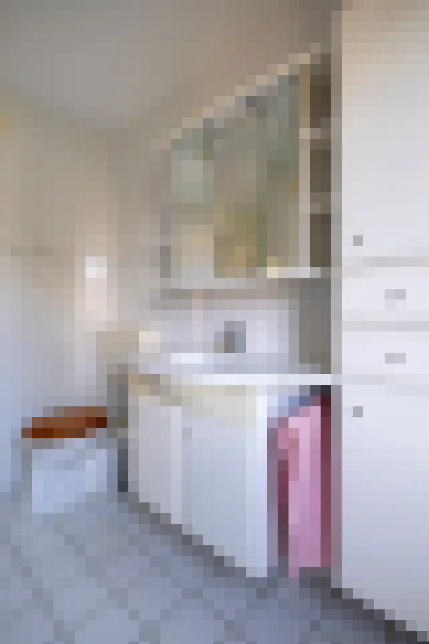 Vossenslag 12 Assen thumbnail 36