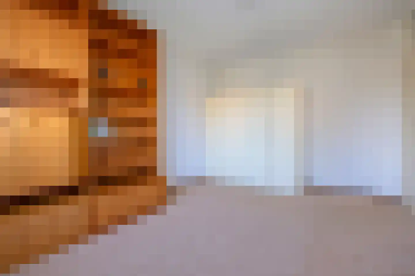Vossenslag 12 Assen thumbnail 38
