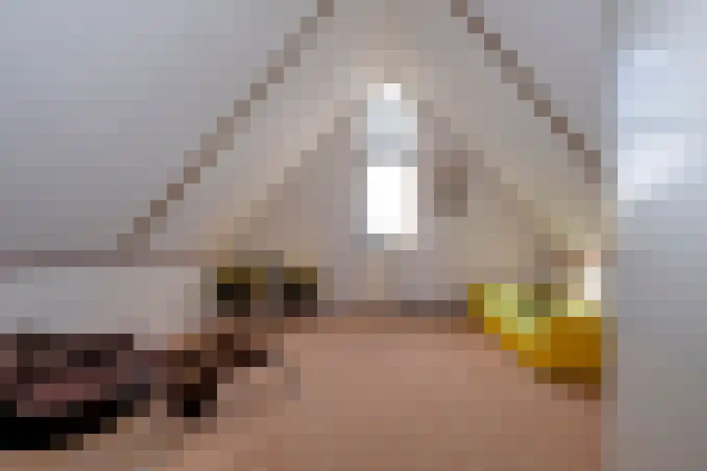 Vossenslag 12 Assen thumbnail 47