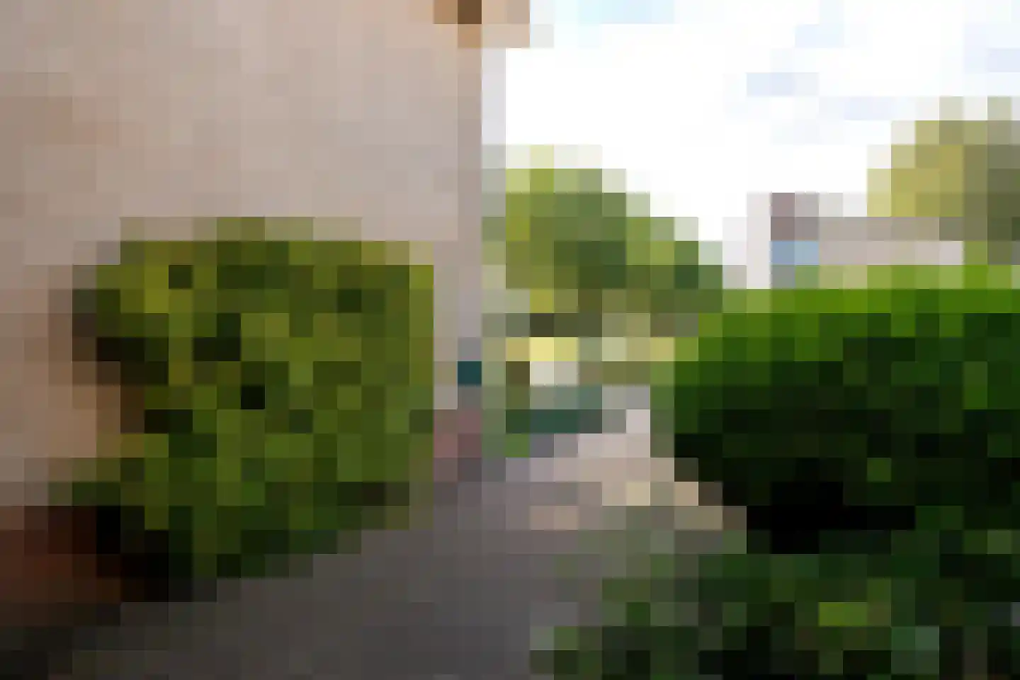 Vossenslag 12 Assen thumbnail 56
