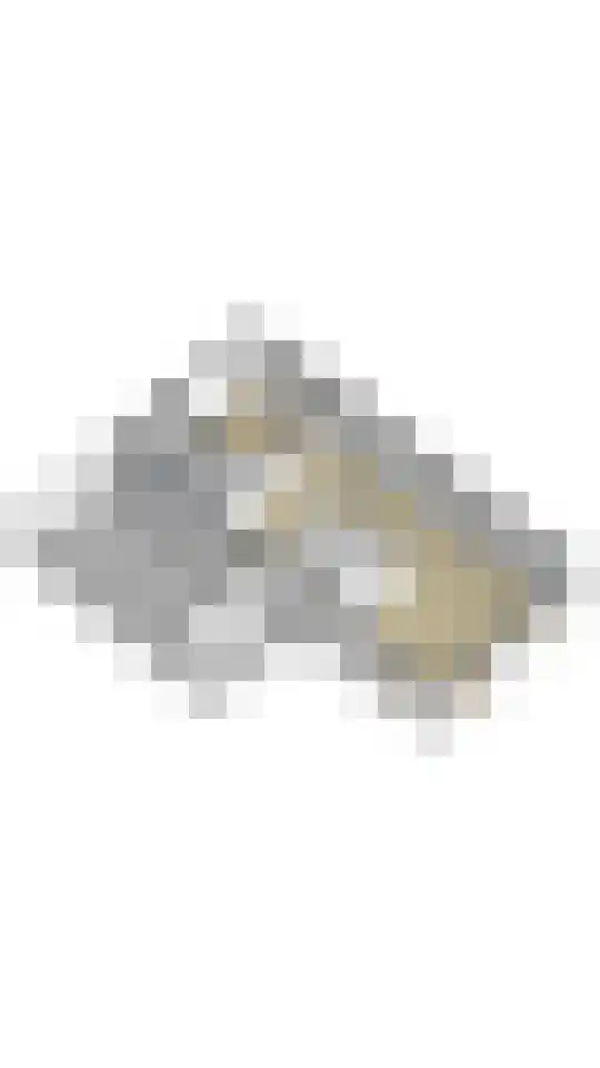 Vossenslag 12 Assen thumbnail 61
