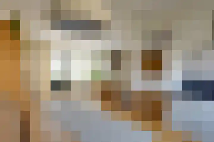 Vossenslag 17 Assen thumbnail 11