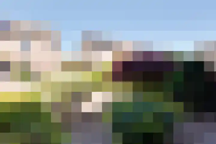 Vossenslag 17 Assen thumbnail 34